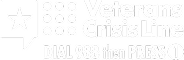 Disabled American Veterans